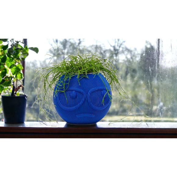 Funny Style Planter: Suspicious Dude Face, Emoji Inspired, Small Pot for Shelf - Picture 1 of 8